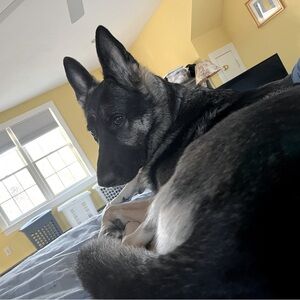 Meet your Posher, Your